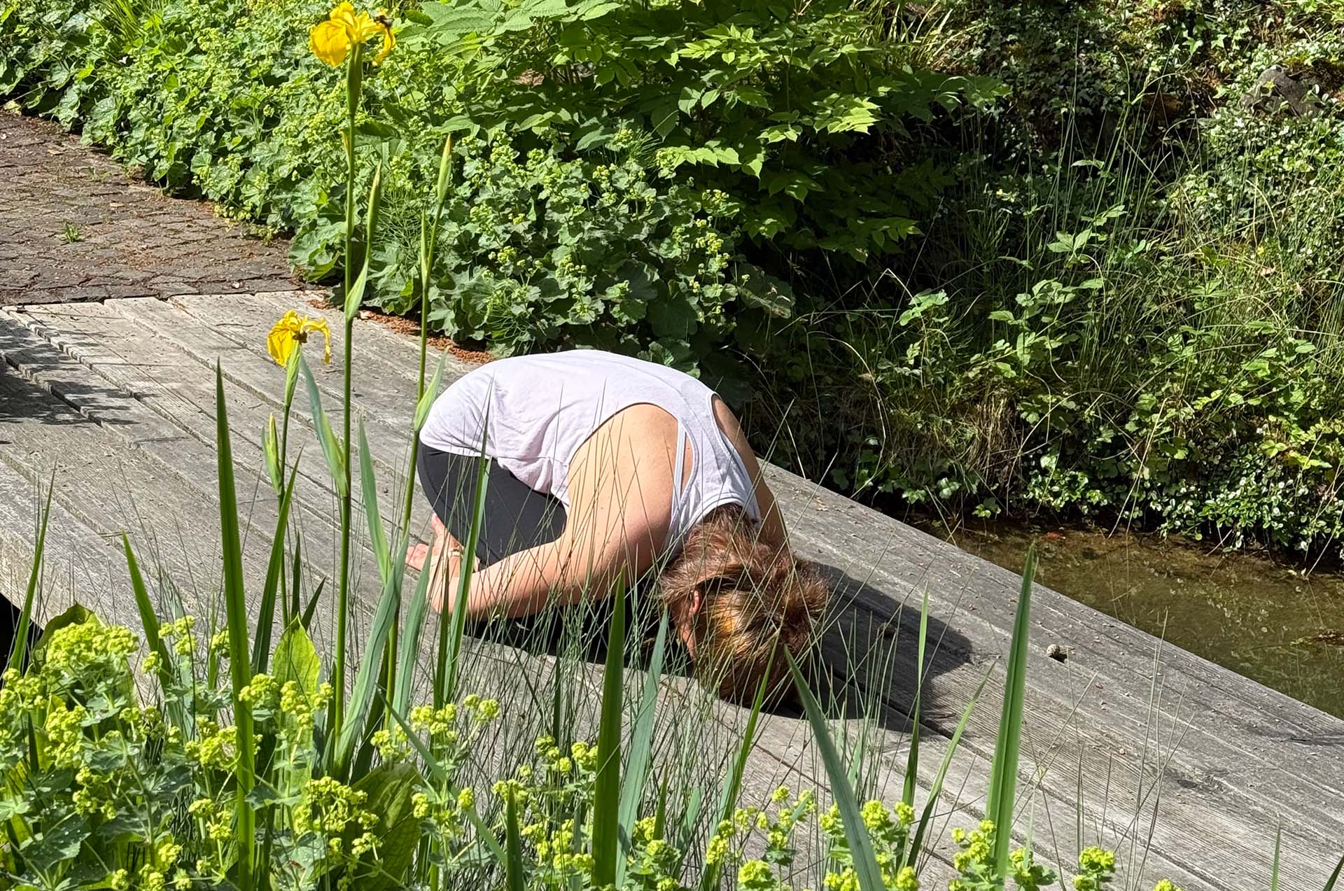 Yoga & Nervensystemregulation